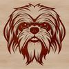 A portrait of a Shih Tzu dog breed with its distinctive head features.