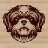 Shih Tzu Head Illustration Vector Art A close-up illustration of a Shih Tzu's head, suitable for vector design.