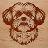 A stylized illustration of a Shih Tzu's head, suitable for digital design and craft projects.