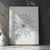 Beautiful Hand-Drawn Spider Webs for Crafting Projects A delicate illustration of a spider web in intricate detail, suitable for vector design applications.