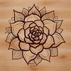 Vibrant Desert Succulent Drawing A detailed vector drawing of a succulent plant in a desert landscape setting.