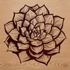 A simple vector design featuring a desert-adapted succulent with distinctive shapes and textures.