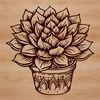 Thick Leafed Botanical Image Succulent plant with thick fleshy leaves, suitable for gardening and design projects.