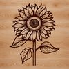 A high-quality illustration of a sunflower in bloom, perfect for gardening enthusiasts and nature lovers.