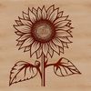 A large, yellow sunflower with a brown center and green stem, ideal for gardening and floral designs.