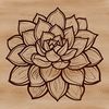 Succulent plant illustration in vector format.