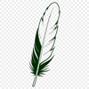 Single Feather SVG Graphic A high-quality vector illustration of a single feather with intricate details.