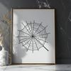 Vector Design of a Beautiful Spider Web A detailed illustration of a delicate spider web in vector format.