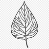 Simple Vector Nature Image A detailed digital design of a leaf with clean lines and precise edges.