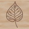 Clean Line SVG Leaf Graphic An isolated graphic of a stylized leaf with clean lines and smooth edges.
