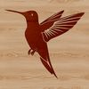 Close-up drawing of a hummingbird's beak and feathers.