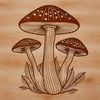 A detailed illustration of a mushroom with a sturdy cap and stem.