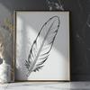 Vector Feather Illustration in Various Forms A single feather in various shapes and forms made from vector lines and curves.