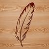 A single feather illustration in vector format.