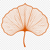 Leaf Illustration with Stem and Veins A green leaf with a stem and veins, designed as a vector graphic.