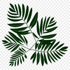A high-resolution, editable vector image of a single green leaf with detailed veins and edges.