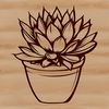 Desert Succulent Graphic Graphic representation of a desert-dwelling succulent in a botanical style.