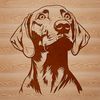 An SVG vector graphic image of a Weimaraner animal.