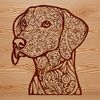Illustration of a sleek Weimaraner breed dog with a silver-gray coat.