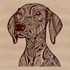 Beautiful Canine Portrait Vector Graphics Close-up illustration of a Weimaraner breed dog.