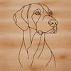 Free Vector Clip Art of a Weimaraner Breed A detailed drawing of a Weimaraner in SVG design suitable for digital use.