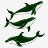 An SVG file representation of a whale, suitable for various design and crafting applications.