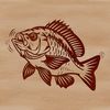 Free Vector Fish Illustration A vector illustration of a Crappie fish, a common freshwater game fish found in North America.
