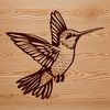 A close-up illustration of a hovering hummingbird's head and beak, highlighting its unique shape.