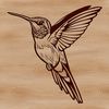Close-up illustration of a hummingbird's head and neck, featuring iridescent feathers.