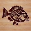 Vector Crappie Fish Design A detailed illustration of a crappie fish, ideal for use in vector design projects such as cutting machines and pyrography.