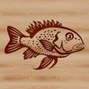 Free Vector Crappie Graphics A detailed illustration of a Crappie fish, suitable for vector graphics projects.