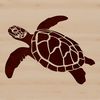 Illustration of a sea turtle in the ocean, a wild animal native to seaside environments.