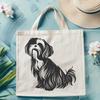 Beautiful Shih Tzu SVG