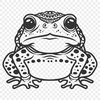 Free Beautiful Toad Clipart