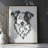 Beautiful Australian Shepherd Vector Drawing