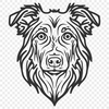 Artistic Australian Shepherd In PNG - Free Download