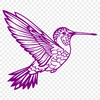 Stunning Hummingbird In PDF - Free Digital Download