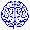 Creative Brain Decal - Free PNG Download