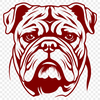 Stunning Bulldog In SVG - For Free Download, Commercial Use