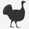 Turkey Vector Image In PNG File Format For Free Download