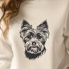 Beautiful Yorkshire Terrier - Pet PDF