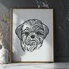 Free Shih Tzu Drawing