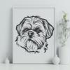 Stunning Shih Tzu - For Vinyl Project