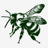 Bee SVG For Download - Free Commercial Use License