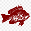 Crappie Digital Drawing In PNG & SVG - Free Digital Download