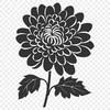 Floral Flower Vector Drawing - Free SVG Download