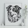 Artistic Australian Shepherd Digital Art