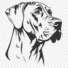 Great Dane Image In SVG, PNG, PDF And DXF File Formats