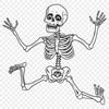 Artistic Skeleton In SVG, PNG, PDF And DXF File Formats - Free