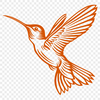 A detailed illustration of a hummingbird in mid-air, showcasing its full body and flight capabilities.